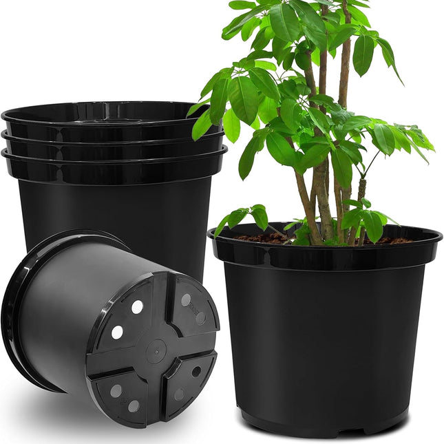 Home & Garden.