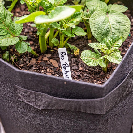 6 Pack BPA-Free 10 Gallon Vegetable Grow Bags with Access Flap and Handles, Suitable for Planting Potato, Taro, Beets, Carrots, Onions, Peanut.