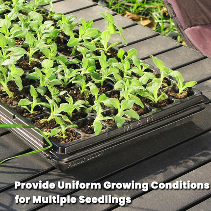 10 Pack 72 Cell Seed Starter Trays, 1.75" Deep Plug Tray for Seedlings, Thick Seedling Trays with Drainage Holes, Fit Standard 1020 Drip Tray.