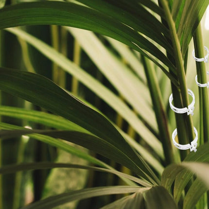 Secured Plastic Plant Clip - 100 Pcs, Garden Support Clips for Climbing Vines - Reusable, White.
