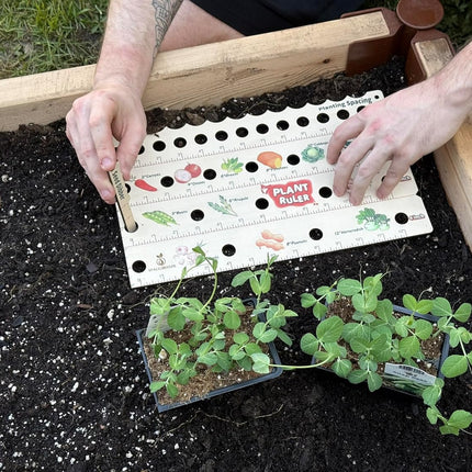 Plant Ruler by  – Wooden Seed Spacing Tool for Vegetable Gardens – Garden Planting Guide for Precise Row Planting in Raised Beds & In-Ground Soil.