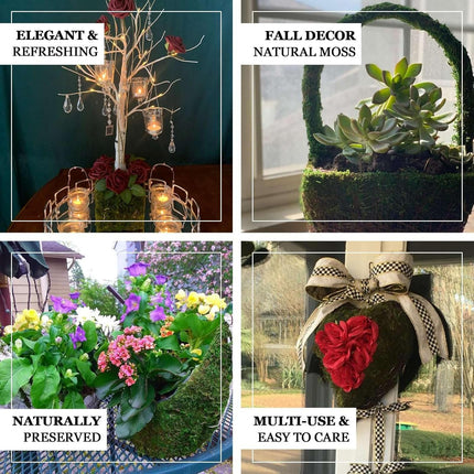 Home & Garden Cartoz.