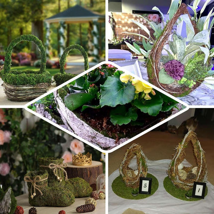 Home & Garden Cartoz.