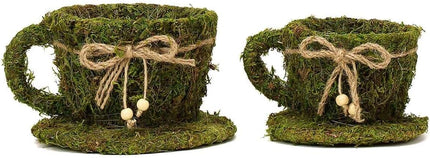 Home & Garden Cartoz.