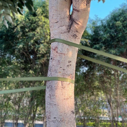 Tree Support Strap, 65 Feet x 1 inch Tree Straps for Staking, Nylon Plant Tie Rope for Support, Straightening (2200 Lbs Strength, Green).
