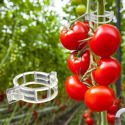 300Pcs Tomato Clips, Plastic Trellis Clips Plant Support Clips, Plant Clips for Support, Grape Vine, Tomato Vine, Vegetables Plants, Garden Clips to Grow Upright Makes Plants Healthier.