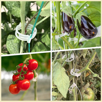 300Pcs Tomato Clips, Plastic Trellis Clips Plant Support Clips, Plant Clips for Support, Grape Vine, Tomato Vine, Vegetables Plants, Garden Clips to Grow Upright Makes Plants Healthier.