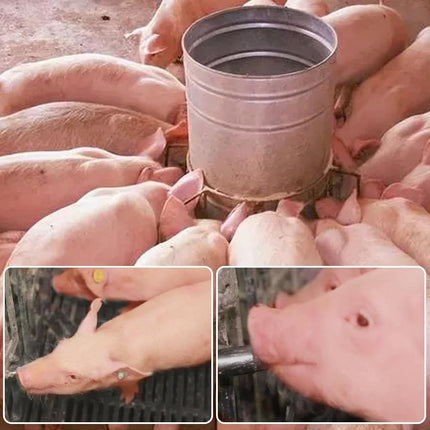 5PCS 1/2 Stainless Steel Automatic Pig Nipple Water Drinker Feeder Waterer + 5PCS 1/2 Female to 3/4 Male Brass Water Tank Connector Bulkhead Fitting Kit for Sows Piglets Drinking.