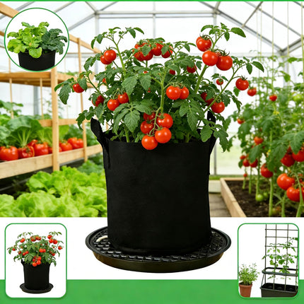 6 Pack 12 inch Self Watering Base for Fabric Grow Bag, Self-watering Plastic Elevated Plant Saucer Stand, Automatic Watering Tray for Non-woven Planter Flower Pot Growth Tent Greenhouse Indoor Outdoor.