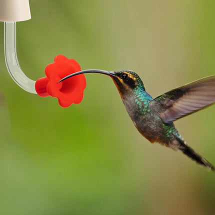 9 Pcs Hummingbird Feeder Tubes with Red Floral Tip, Bird Hummingbird Feeder Replacement Parts with 3 Brush, Outside Flower Bird Water Feeder Tubes Stoppers for Making Your Own Bird Feeders.