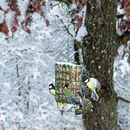 Hanging Bird Feeder, Suet Feeder Hanging Bird Feeder Hanging for Garden Yard Outside Hanging Bird Feeder Tray.