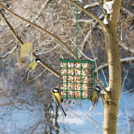 Hanging Bird Feeder, Suet Feeder Hanging Bird Feeder Hanging for Garden Yard Outside Hanging Bird Feeder Tray.