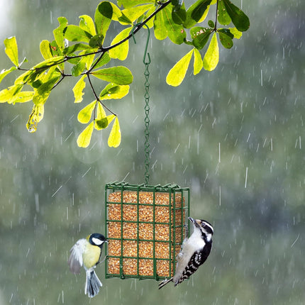 Hanging Bird Feeder, Suet Feeder Hanging Bird Feeder Hanging for Garden Yard Outside Hanging Bird Feeder Tray.