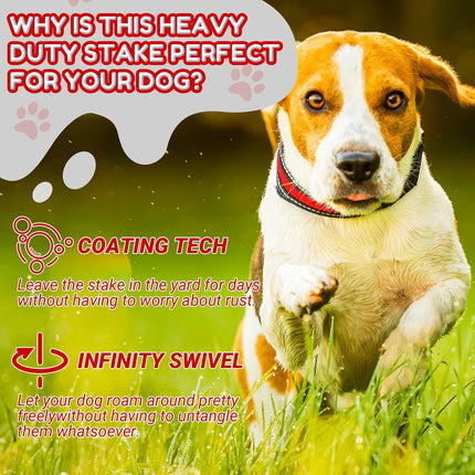 Amylove 2 Set Dog Tie Out Cable and Stake - 30ft Leash Chain, 16" Spiral Stake for Outside Yard - Medium to Large Dogs up to 125 Lbs (Red).