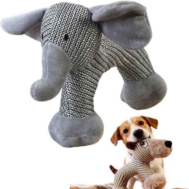 Pet Care.
