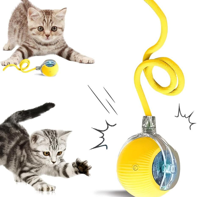 Pet Care.