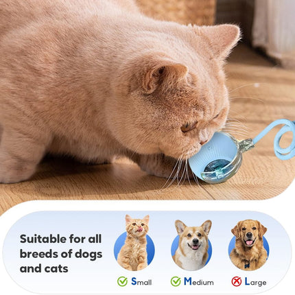 Dog Cooling Mat 3.0, 2026 New Ice Silk Self-Cooling Pad for Pets, Pressure-Activated Dogs Cats, Reusable Water-Free Summer (White, Large) White Large.