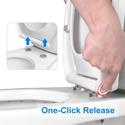Premium Elongated Toilet Seat with Toilet Seat Bumpers.