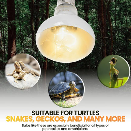 (4-Pack 100W Reptile Heat Lamp Bulbs - UVA Daylight Basking Light Bulbs for Reptiles, Turtles, Lizard, Bearded Dragon and Amphibians - 120V R80 Reflector Bulbs with E26 Screw Cap Base.