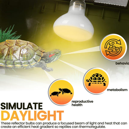 (4-Pack) Reptile Bowls and 100W UVA Heat Lamp Bulbs, (2-Pack) Water and Food Bowls and 4-Pack Reptile Heat Lamp Bulbs.