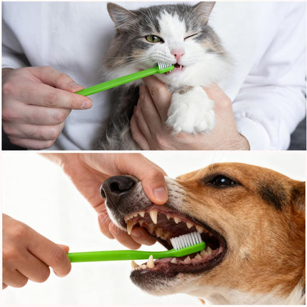 Dog Toothbrush Set of 8 - Dual Headed, Dental Hygiene Convenient Soft Toothbrush to Clean pet Teeth, Dog Tooth Brushes for Small to Large Dogs, Cats, and Most Pets, Teeth Brush in Bulk.