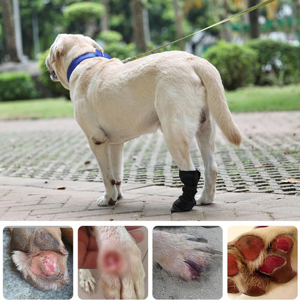 Pet Care.