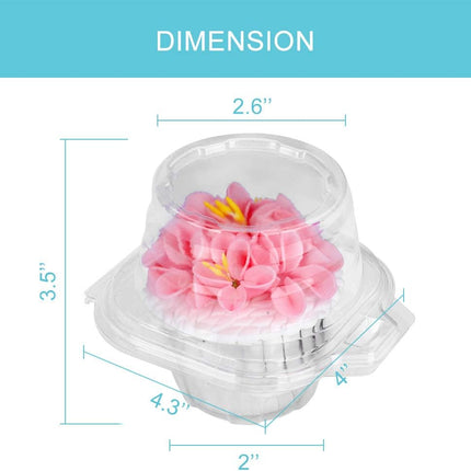 50 Pcs Cupcake Boxes Plastic Individual Cupcake Containers Single Cupcake Carrier with Connected Airtight Dome Lid for Party.