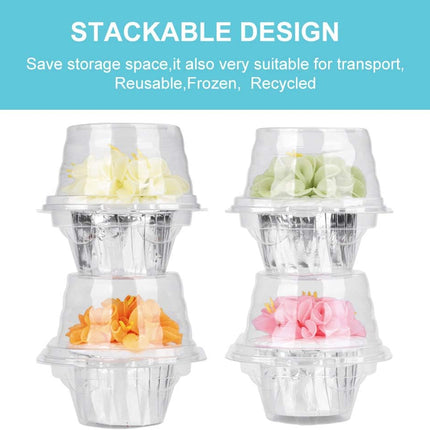 50 Pcs Cupcake Boxes Plastic Individual Cupcake Containers Single Cupcake Carrier with Connected Airtight Dome Lid for Party.