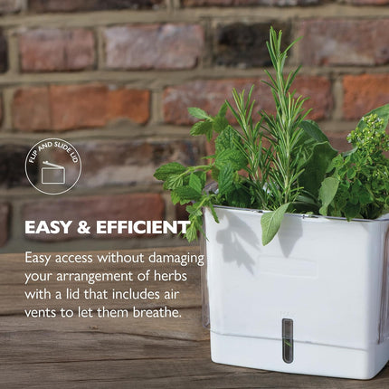 Fresh Herb Keeper - Acrylic Storage Container for Refrigerator - Storage for Herbs & Vegetables for Fridge - Fresh Herb Keeper.