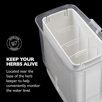 Fresh Herb Keeper - Acrylic Storage Container for Refrigerator - Storage for Herbs & Vegetables for Fridge - Fresh Herb Keeper.