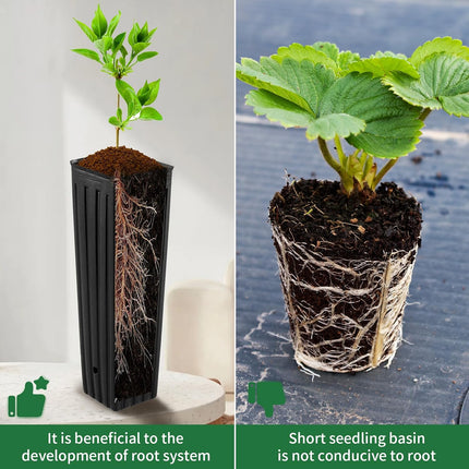 50 Pcs 12" Tall Tree Pots Plastic Deep Nursery Pots Tall Nursery Tree Pots Plant Deep Seedling Pots, Flower Plant Container Pots with 3 Pcs Garden Tools for Indoor Outdoor Use.