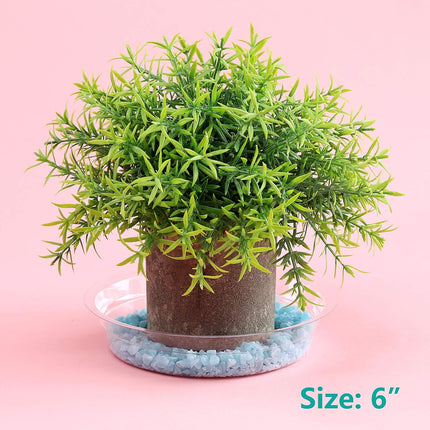 20 Pack 6 Inch Plant Saucers Clear Plastic Plant Saucer Drip Trays Small Plant Plate Dish for Indoor Flower Pots and Planters, Bulk.