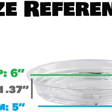 20 Pack 6 Inch Plant Saucers Clear Plastic Plant Saucer Drip Trays Small Plant Plate Dish for Indoor Flower Pots and Planters, Bulk.