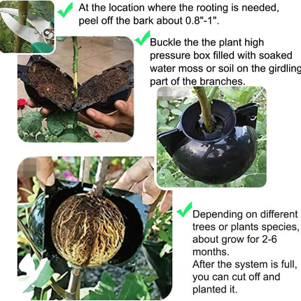 10 PCS Air Layering Propagation Kit with Zip Ties, Reusable Half Transparent Grafting Ball, Air Layering Pods Clear, Plant Rooting Grafting Box for Fast Propagation Plants (Medium).