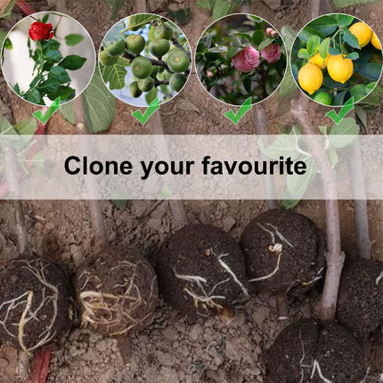 10 PCS Air Layering Propagation Kit with Zip Ties, Reusable Half Transparent Grafting Ball, Air Layering Pods Clear, Plant Rooting Grafting Box for Fast Propagation Plants (Medium).