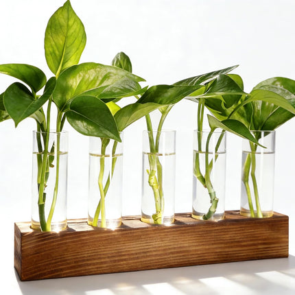 Plant Propagation Station, Plant Terrarium with Wooden Stand, Plants Pots for Hydroponics, Small Birthday Gardening Gifts for Women Mom Plants Lovers Unique - 5 Glass Test Tubes Vases.