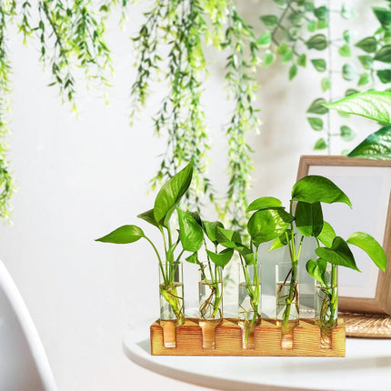 Plant Propagation Station, Plant Terrarium with Wooden Stand, Plants Pots for Hydroponics, Small Birthday Gardening Gifts for Women Mom Plants Lovers Unique - 5 Glass Test Tubes Vases.