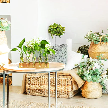 Plant Propagation Station, Plant Terrarium with Wooden Stand, Plants Pots for Hydroponics, Small Birthday Gardening Gifts for Women Mom Plants Lovers Unique - 5 Glass Test Tubes Vases.