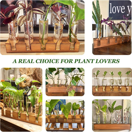 Plant Propagation Station, Plant Terrarium with Wooden Stand, Plants Pots for Hydroponics, Small Birthday Gardening Gifts for Women Mom Plants Lovers Unique - 5 Glass Test Tubes Vases.