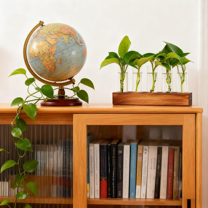 Plant Propagation Station, Plant Terrarium with Wooden Stand, Plants Pots for Hydroponics, Small Birthday Gardening Gifts for Women Mom Plants Lovers Unique - 5 Glass Test Tubes Vases.