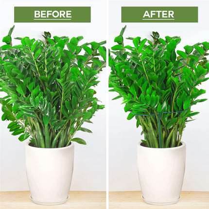 6 Pack Plant Support Plant Stakes, Metal Peony Support, Garden Plant Supports, Plant Cage, Plant Support Ring, Plant Support Stakes for Peony, Tomato, Hydrangea, Indoor Plants, 9.8 W x 15.7 H.