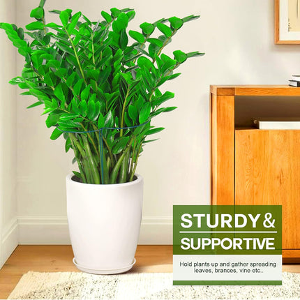 6 Pack Plant Support Plant Stakes, Metal Peony Support, Garden Plant Supports, Plant Cage, Plant Support Ring, Plant Support Stakes for Peony, Tomato, Hydrangea, Indoor Plants, 9.8 W x 15.7 H.