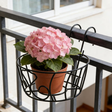 Home & Garden.