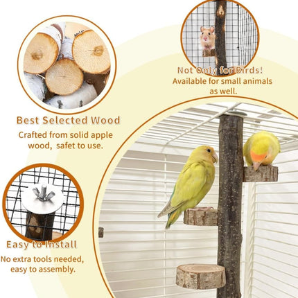 Pet Care Cartoz.