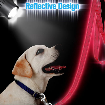12 Pack Dog Leash Bulk, Double Sided Reflective, Nylon Leashes with Padded Handle for Small, Medium, and Large Dogs, 5 Feet Long, Puppy Walking Training.