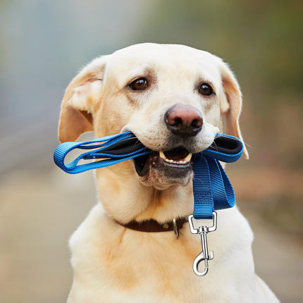 12 Pack Dog Leash Bulk, Double Sided Reflective, Nylon Leashes with Padded Handle for Small, Medium, and Large Dogs, 5 Feet Long, Puppy Walking Training.