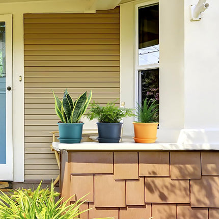 Home & Garden Cartoz.
