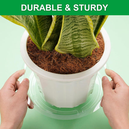Petluno 24 Pack Clear Plant Saucers - 6, 8, 10, 12 Inch Plastic Trays for Pots, Flower Pot Saucers, Indoor & Outdoor Planter Drip Tray Water Drainage Protection  6",8",10",12"-.
