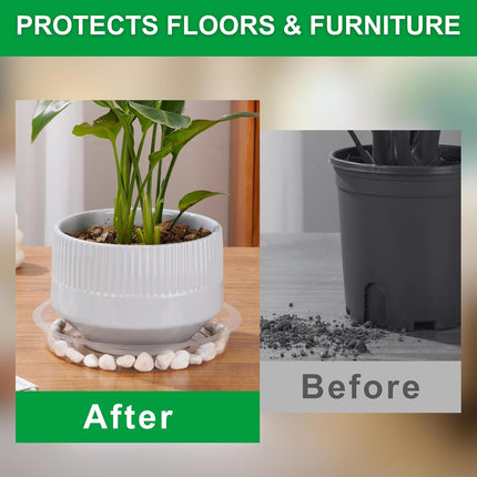 Petluno 24 Pack Clear Plant Saucers - 6, 8, 10, 12 Inch Plastic Trays for Pots, Flower Pot Saucers, Indoor & Outdoor Planter Drip Tray Water Drainage Protection  6",8",10",12"-.