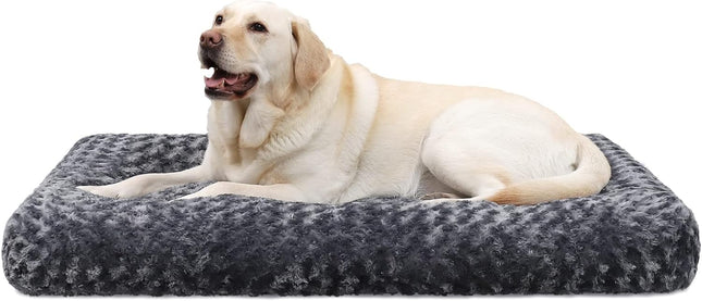 Pet Care.